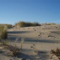 Dunes