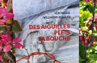 Des aiguilles plein la bouche Véronique Willmann Rulleau Éditions Signes et Balises