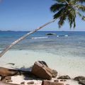3e île seychelloise : la Digue