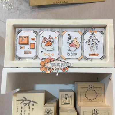 Une journée au CSF à Paris