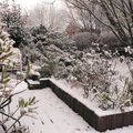 Jardin en hiver