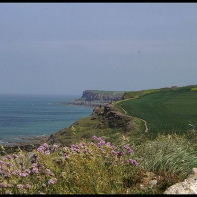 LA GRANDE BLEUE...NON ..LA COTE D' OPALE