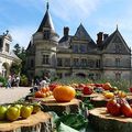 Le festival de la tomate et des saveurs au château de la Bourdaisière