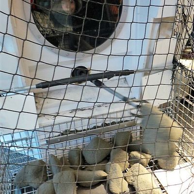 en famille au New-York hall of science