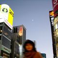 Les 30 'best' des touristes au Japon