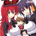 Manga One Shot : High School DxD - Travail de démon