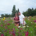 Labyrinthe de fleurs