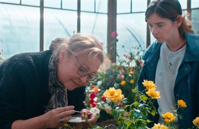 Critique cinéma: La fine fleur sent le succès à plein nez !