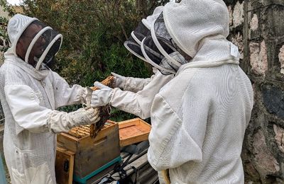 “Du Moulin à la ruche...”