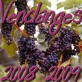 Ah! les Vendanges 2008-2009