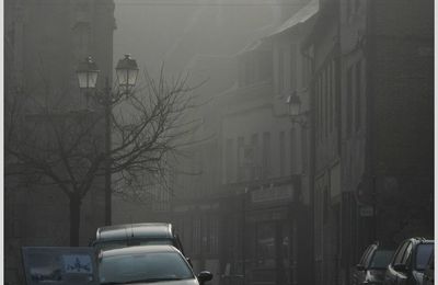 HONFLEUR DANS LE COTON