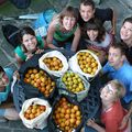°Oo - Le fruit-picking pour emploi - oO°