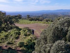 Vol de pente dans l’Estèrel