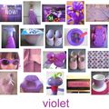 Violet # 65