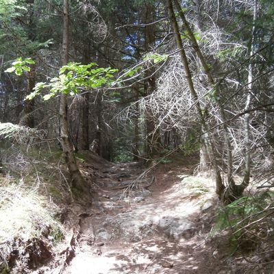 Vias/Violonaires 12 : André Gatignol de St Genès-Champespe (63)