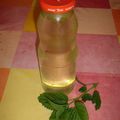 Recette du sirop de mélisse