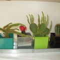 Ma petite famille de cactus
