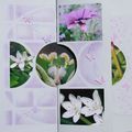 ma page de fleurs