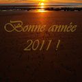 Bonne année 2011