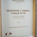 ╰۝☽ 3# Respirare l'ombra, foglie di tè par Giuseppe Penone