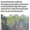 Forêt de Landes de Gascogne