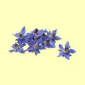 23 Floréal.