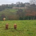 Château : la famille Highland dans le décor