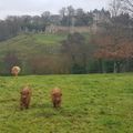 Château : la famille Highland dans le décor