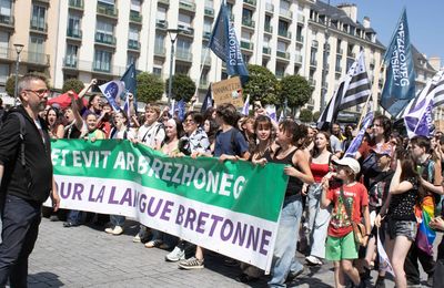 Retour sur la manif Diwan du 17 mai à Rennes