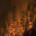 Incendies en Californie