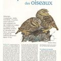 Article de l'OISEAU MAGAZINE (1)