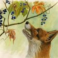 Fable de la semaine: Le Renard et les Raisins