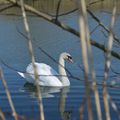 Belle journée du mois de mars