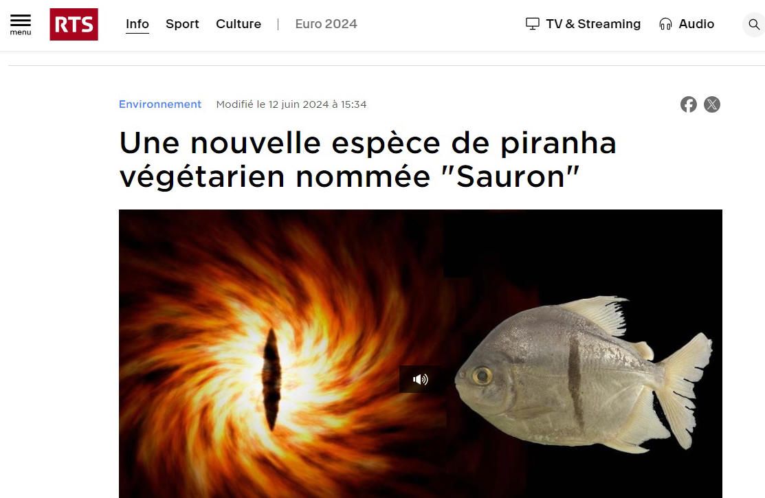 piranah végétarien
