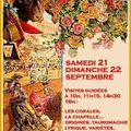 ARÈNES DE BÉZIERS -  MUSÉE TAURIN - JOURNÉES DU PATRIMOINE 2024
