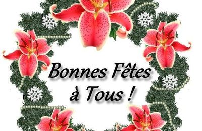 Bonnes Fêtes de fin d'année 2013 !