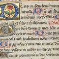 Prendre conscience du Christ à travers le Ps 110 (109)