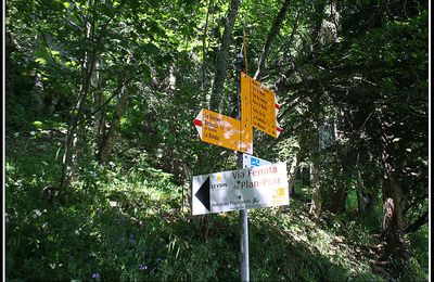 Vaud: Via ferrata de Plan Praz - Leyzin - Suisse