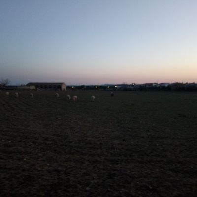 Alcaracejos ==> Hinojosa Del Duque 22,5 km