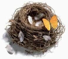 Mr Freeze et Capitaine Igloo