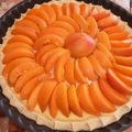 Tarte briochée aux abricots