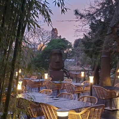 Du rose au jardin et Lectures 2026