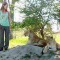 Attaquée par un lion, elle s´ensort néanmoins