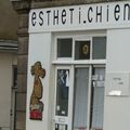 Salon d'esthetique pour chiens 