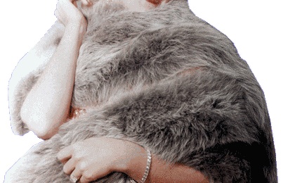 Tag Marilyn 40 - Gentlemen Prefer Blondes