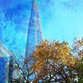 November Shard