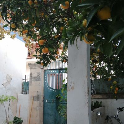 Quelques jours d'Octobre à Egine ..