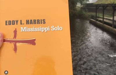 MISSISSIPPI SOLO, par Eddy L. Harris