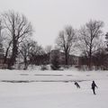 Skating Time Again !