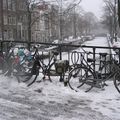Amsterdam - janvier '10